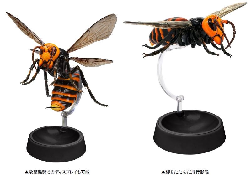 いきもの大図鑑アドバンス スズメバチ全3種 - フィギュア