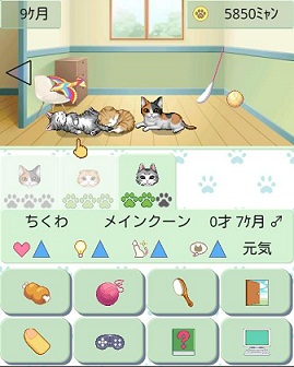 コトブキソリューション スマホ版 Gree で ウチの猫 For Gree の提供開始 かわいい猫を育てるアプリ Gamebiz