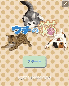Kemco Ios向け癒し系猫育成ゲームアプリ ウチの猫 Gree をリリース Gamebiz