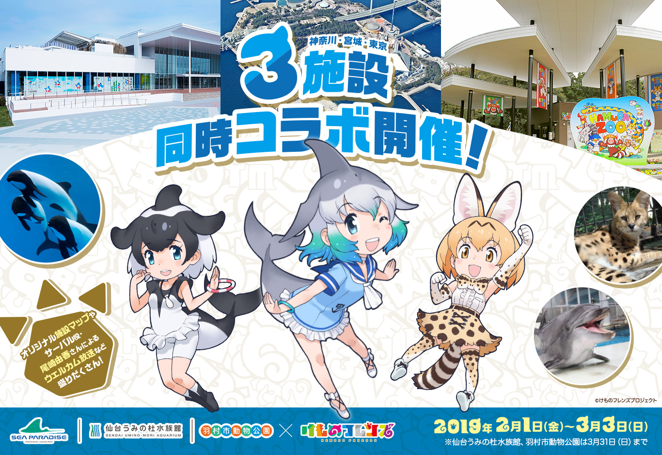 Kadokawa けものフレンズ 横浜 八景島シーパラダイス 仙台うみの杜水族館 羽村市動物公園 コラボイベントを開催決定 Gamebiz