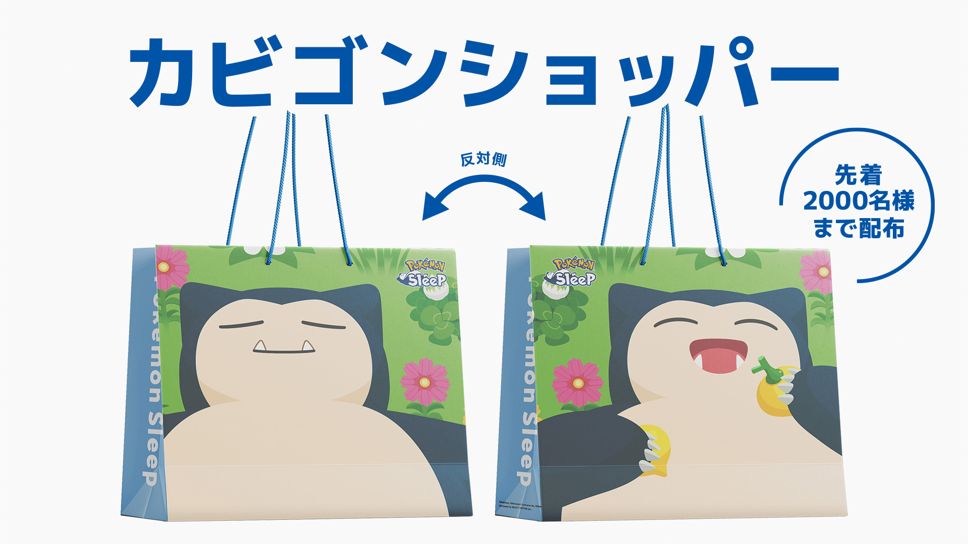 ポケモンスリープ クリアファイル 渋谷 サクラステージ ねがおリサーチ