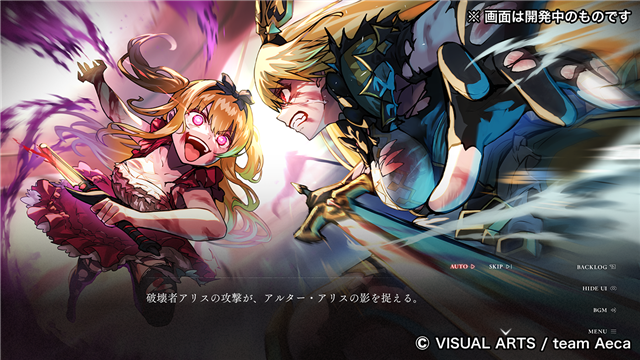 大正×対称アリス クラウドファンディング リターン品 大正×対称アリス クラウドファンディング リターン品 大正×対称